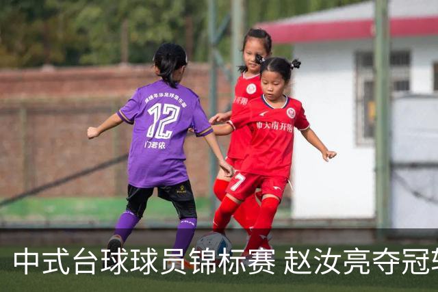 中式台球球员锦标赛 赵汝亮夺冠斩获百万奖金