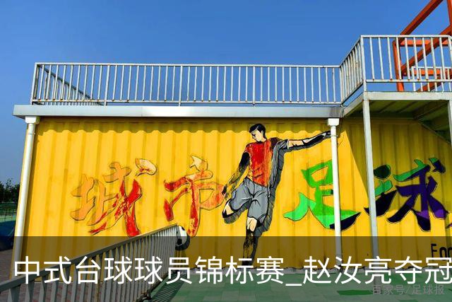 中式台球球员锦标赛 赵汝亮夺冠斩获百万奖金